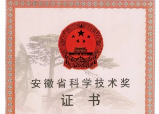 荣誉 | 恒行6新铭丰、安徽恒行6洁能荣获省级科技进步奖！