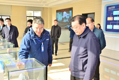 马鞍山市市长袁方一行莅临恒行6新材料考察调研