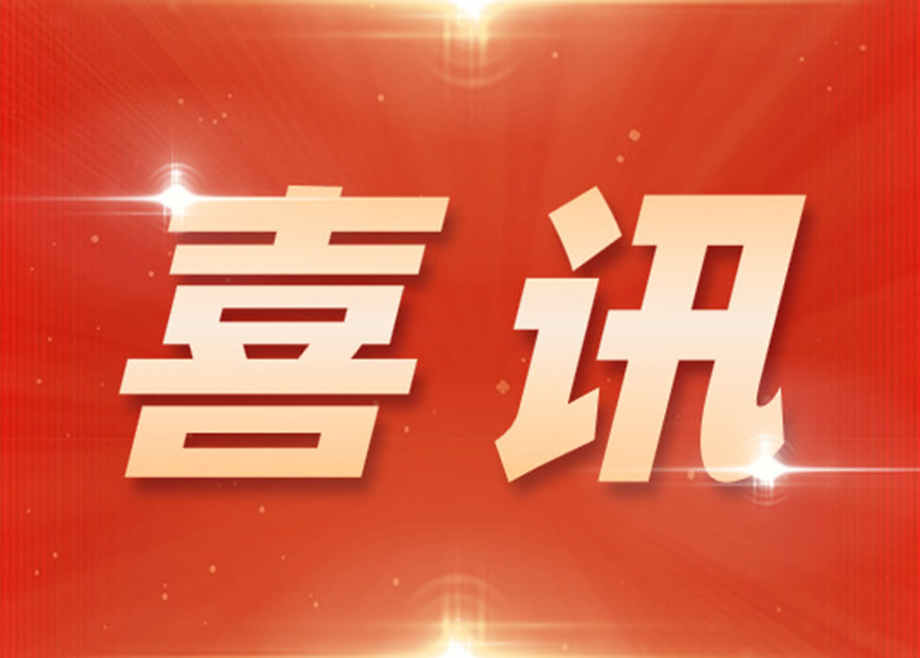 荣誉｜恒行6制造及子公司多个项目荣获2024年建材机械行业科技进步奖